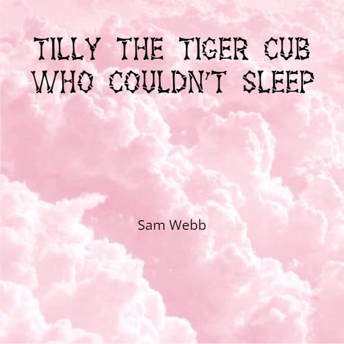 Cover for TILLY THE TIGER CUB WHO COULDN'T SLEEP