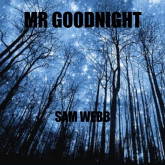 Cover for MR GOODNIGHT
