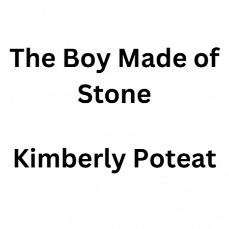 Cover for The Boy Made of Stone
