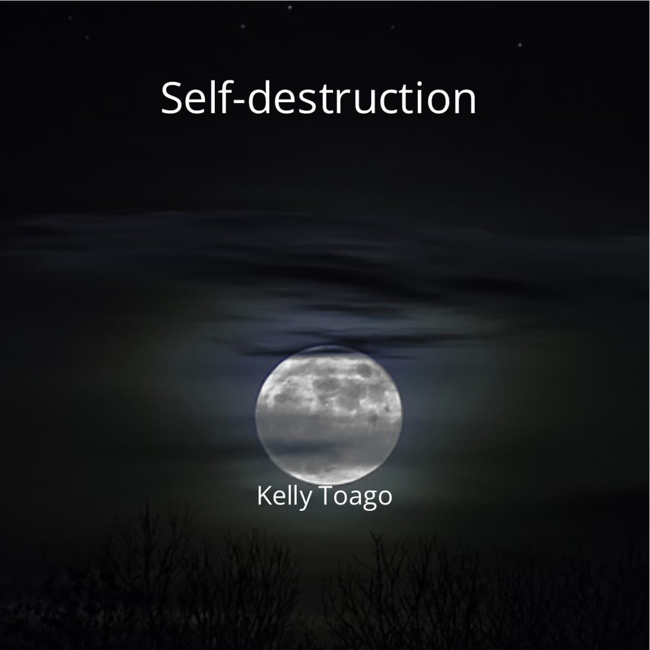 Cover for Self-destruction