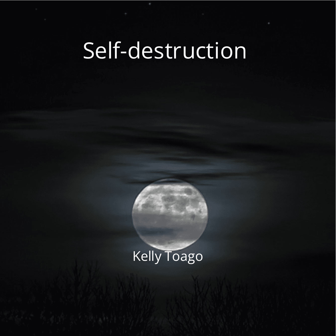 Cover for Self-destruction