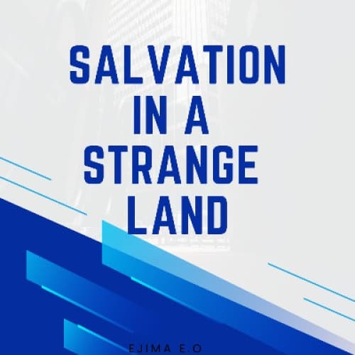 Cover for Salvation in a strange land