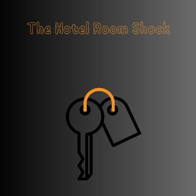 Cover for THE HOTEL ROOM SHOCK