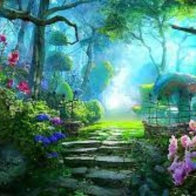 Cover for The enchanted forest and the fairy world