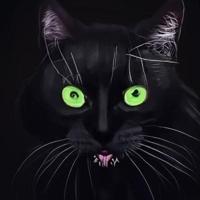 Cover for Black Cat