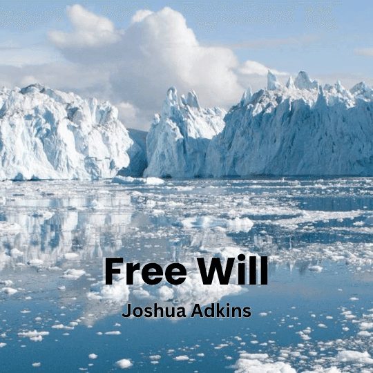 Cover for Free Will