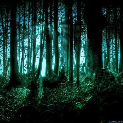 HORROR JUNGLE
