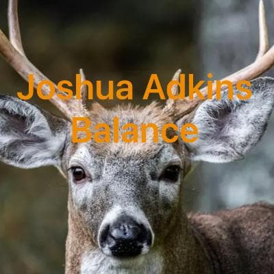 Cover for Balance