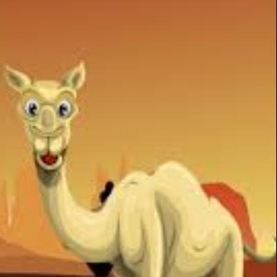 Cover for 17 camels and 3 sons