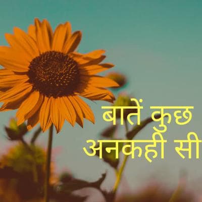 Cover for Kuch baate ankahi si