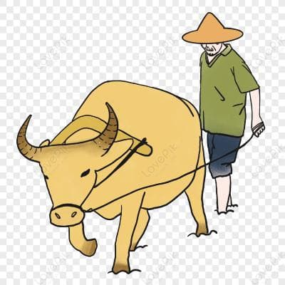 Cover for The old man and his bull