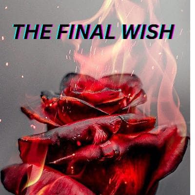 Cover for THE FINAL WISH