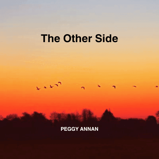 Cover for The Other Side