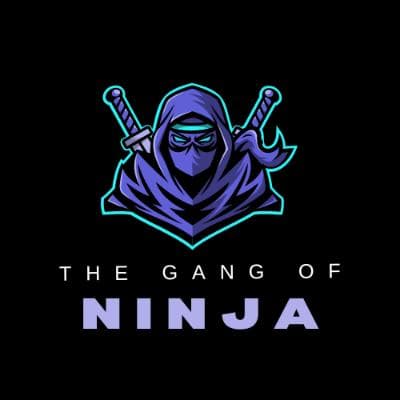 THE GANGS OF NINJA