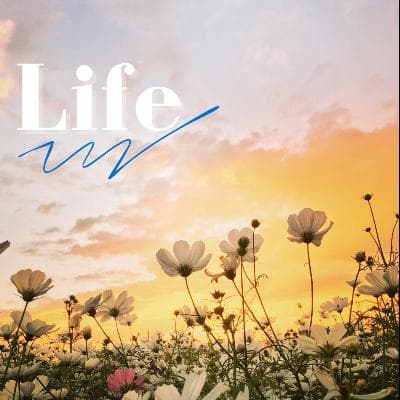 Cover for Life.