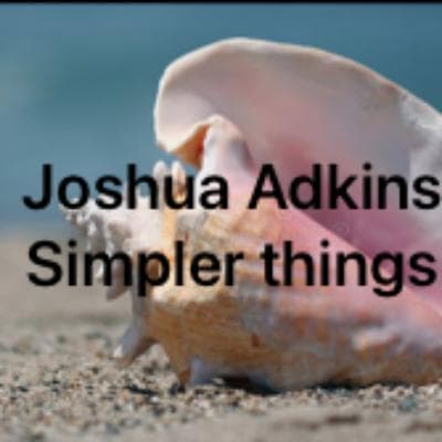Cover for Simpler Things