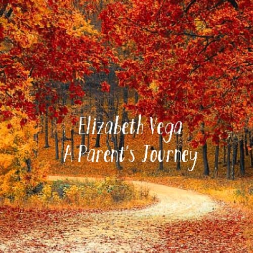 Cover for A Parents Journey