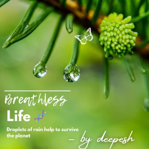 Cover for Breathless life