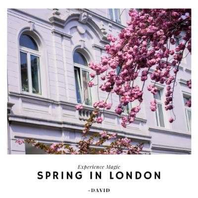 Story Cover Image