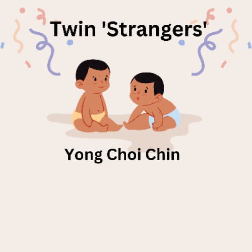 Cover for Twin 'strangers'