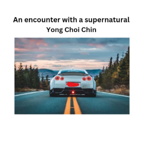 Cover for An encounter with a supernatural