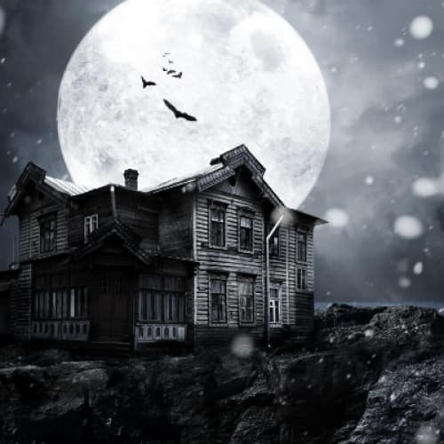 Story Cover Image