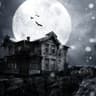 Story Cover Image