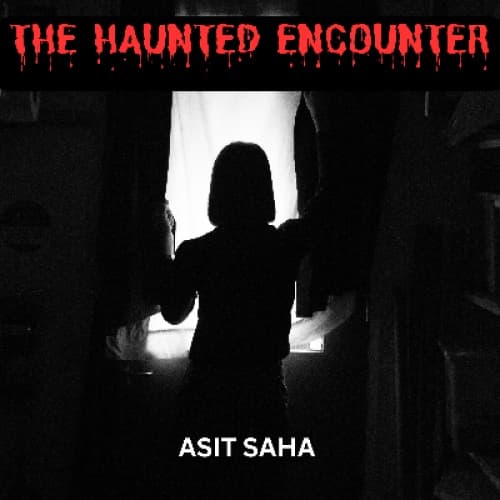 Cover for The Haunted Encounter