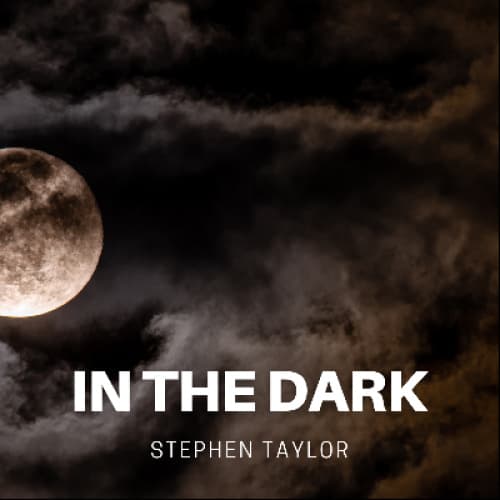 Cover of In the Dark