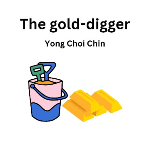 Cover for The gold-digger