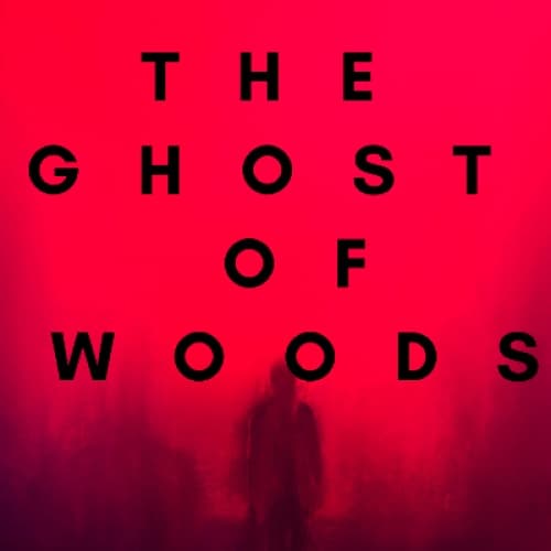Cover for THE GHOST WHICH I MET ON MY WAY