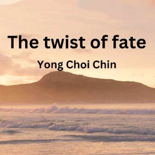 Cover for The twist of fate
