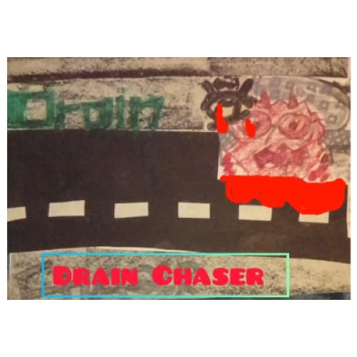 Cover for Drain Chaser