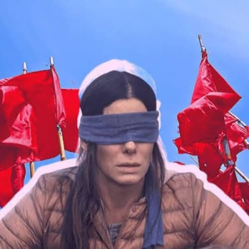Cover for The red flags