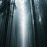 Story Cover Image