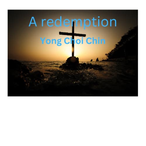 Cover for A redemption