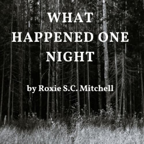 What Happened One Night