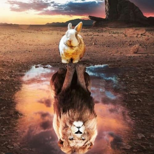 Cover for SIMBA AND THUMPER