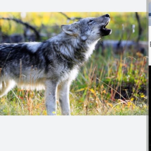 Story Cover Image