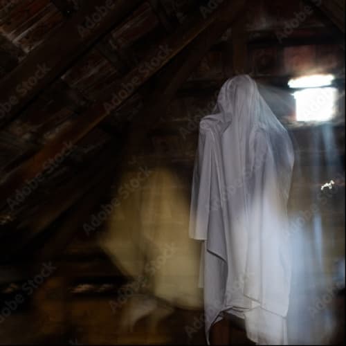 Cover for The Unknown Ghost That Cannot Talk