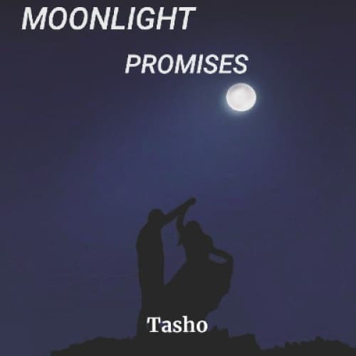 Cover for MOONLIGHT PROMISES ????