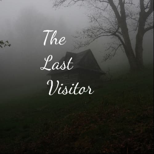 Cover for The Last Visitor
