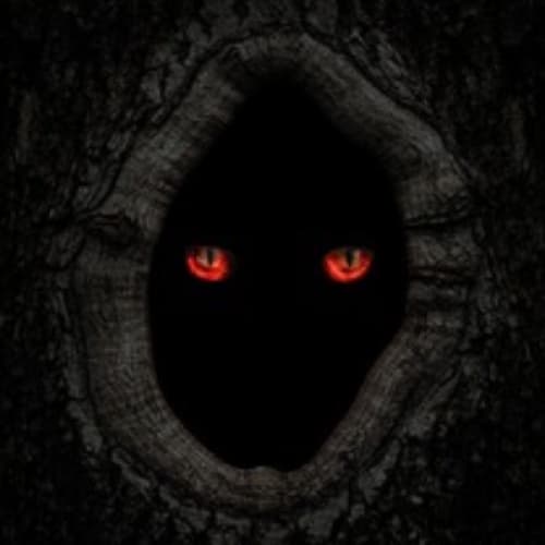 Cover of THE SCARY NIGHT