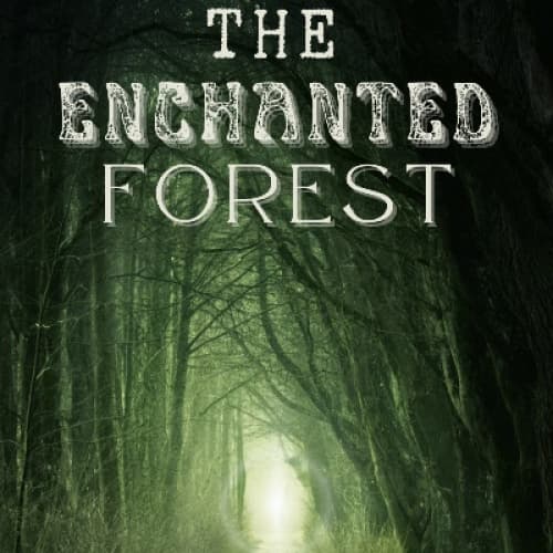 THE ENCHANTED FOREST