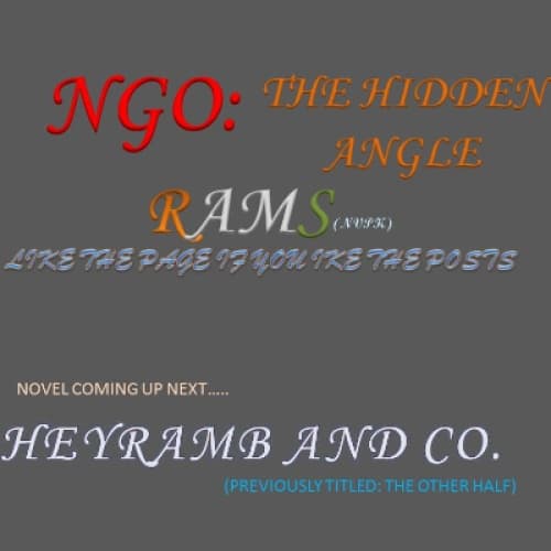 Cover for NGO : the hidden angle
