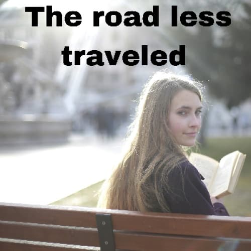 Cover for Title: "The Road Less Traveled"