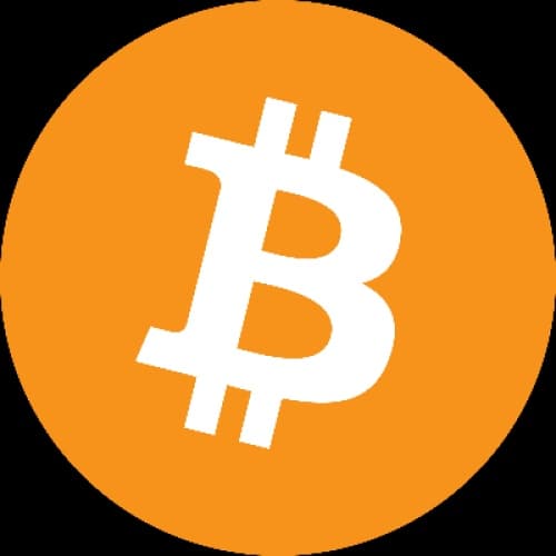 Cover for The Rise of Bitcoin