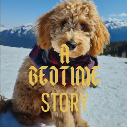 A bedtime story about a mini golden doodle, clad in a scarf, on an epic adventure to climb a snowy mountain