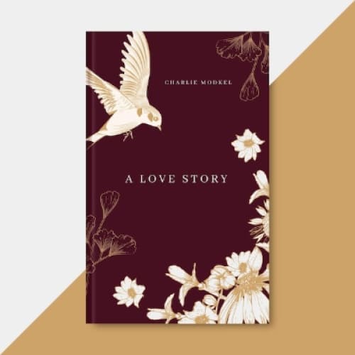 Cover for Love in the Limelight