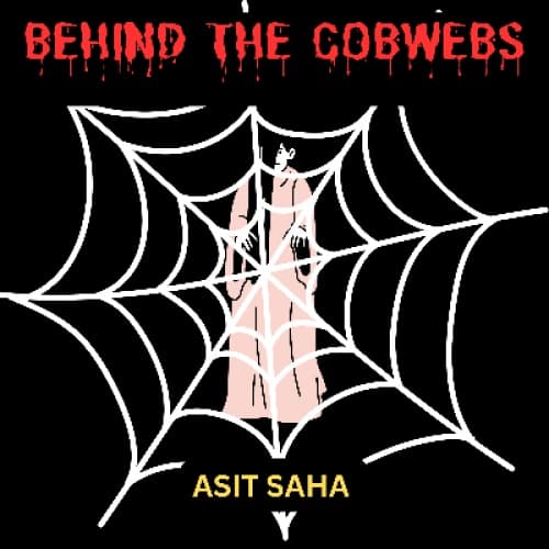 Cover for Behind The Cobwebs